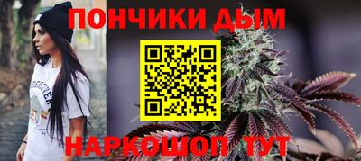прущие грибы Краснокаменск