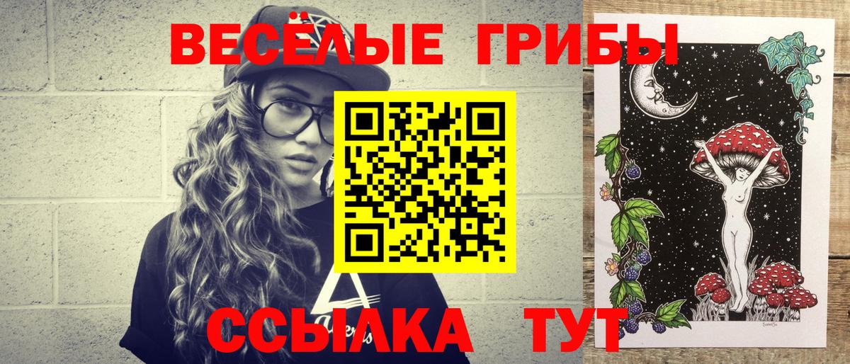Галлюциногенные грибы Magic Shrooms  Вход с VPN  Всеволожск  Галлюциногенные грибы Psilocybine cubensis 